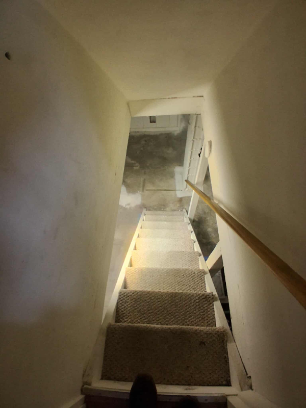 1123 Braddock Rd - Photo 3 of 10