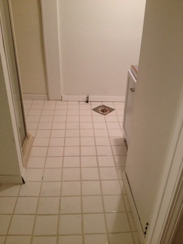 1021 W Howe St - Photo 5 of 8