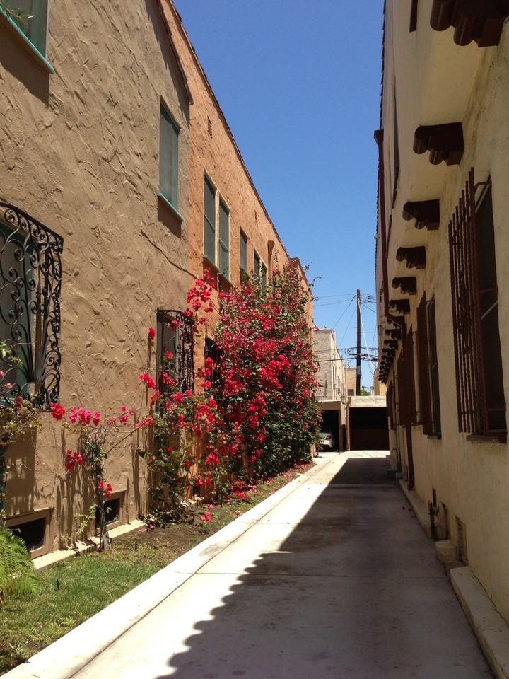 464 N Stanley Ave "The Moroccan" - Photo 3 of 9