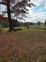 featured image of 22 Wolfskin Rd