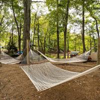 featured image of 900 Lakeview Ave