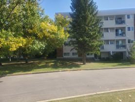 #8, 11255 31 Ave NW Edmonton, AB - Photo 1 of 1