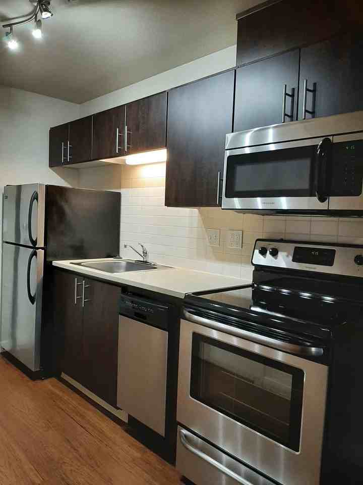 MORRISON 16 APARTMENTS (MOR16) - Photo 5 of 25