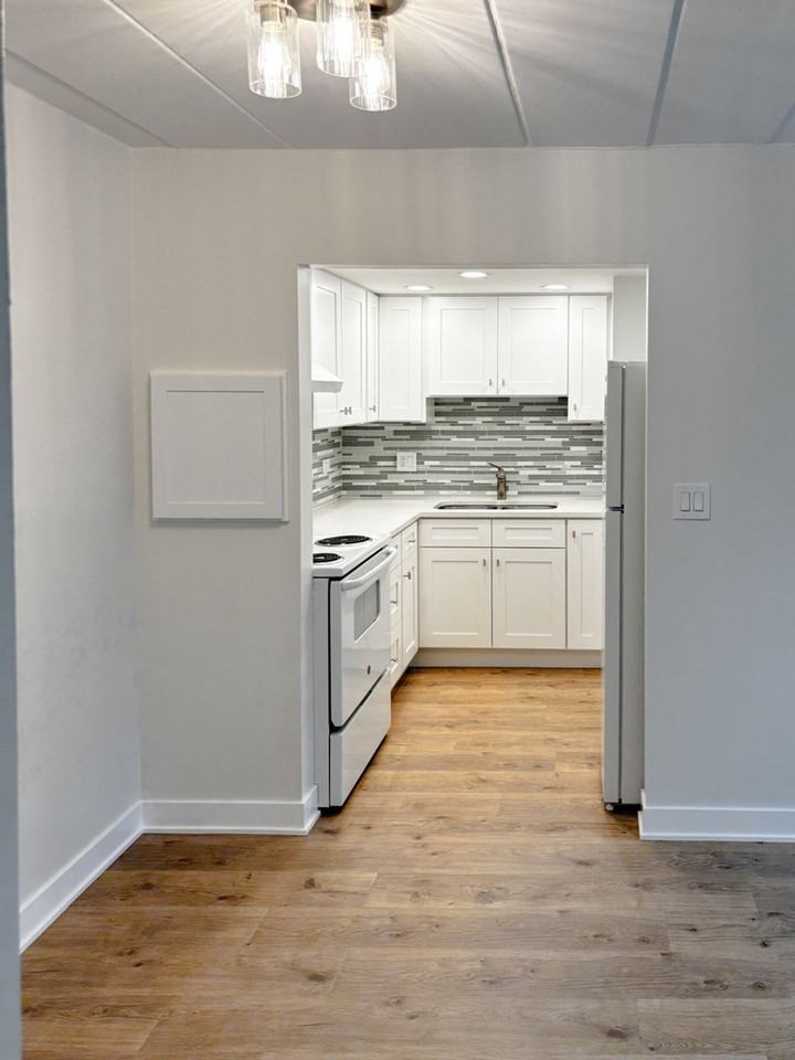 444 S Spring Rd, Elmhurst, IL   60126 - Photo 4 of 6
