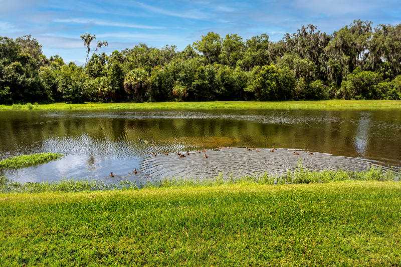 9873 50th Street Cir E #NA - Photo 3 of 18