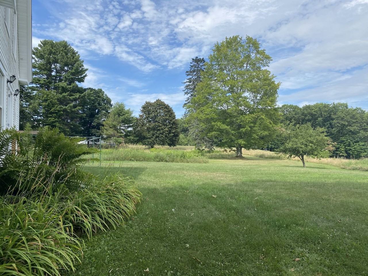 100 Upper Pond Rd - Photo 3 of 37