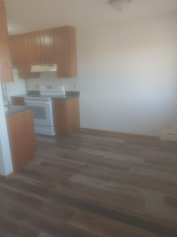 4621 University Ave Ne #201 - Photo 4 of 11