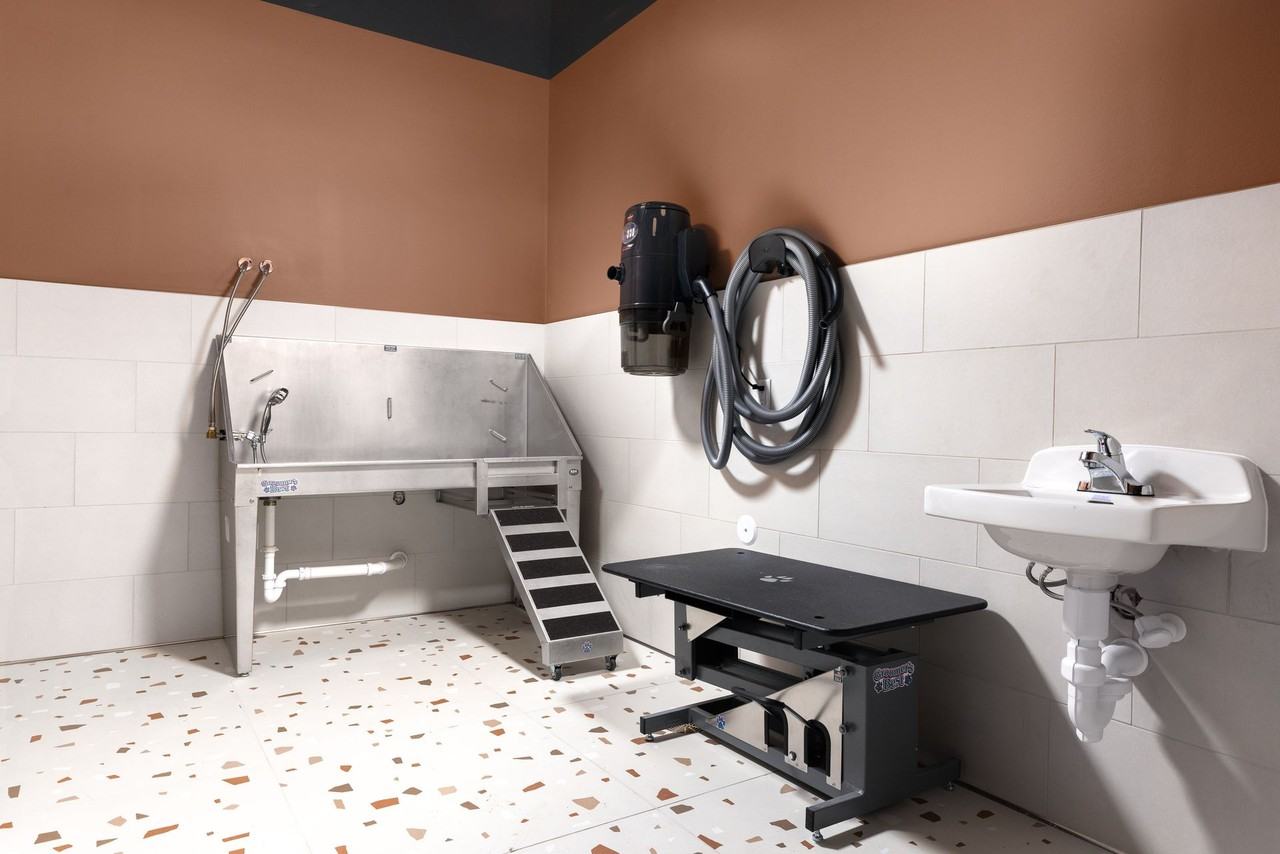 Compass - Photo 6 of 50