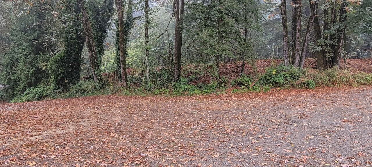 17900 Ne Hillsboro Hwy - Photo 2 of 11