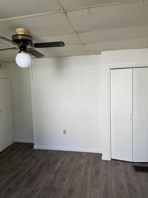 719 Stella Street - Photo 4 of 15