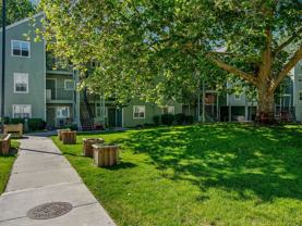 Davis Park Apartments - Photo 1 of 1