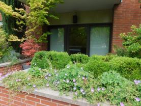 1375 Olive St #203 - Photo 1 of 1