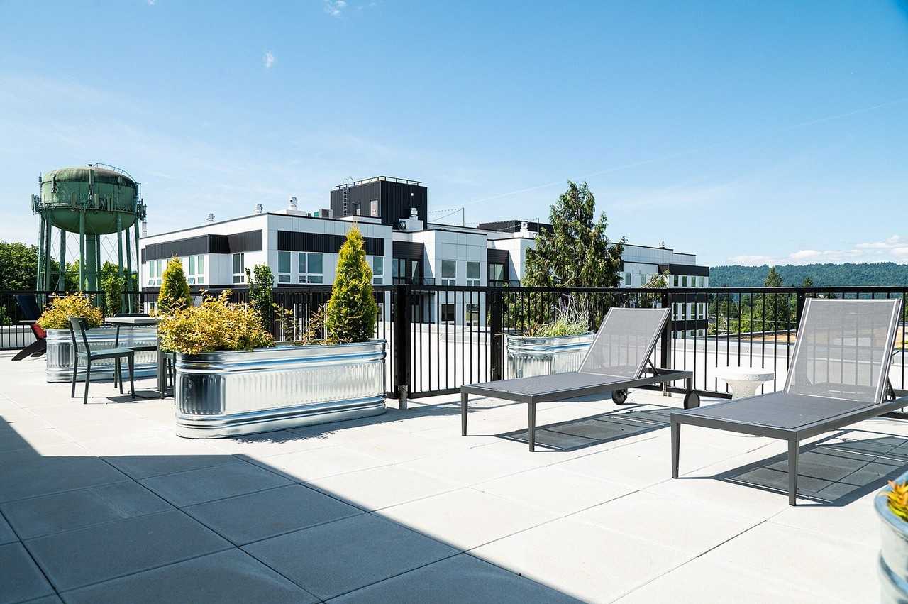 Paceline - Photo 4 of 47