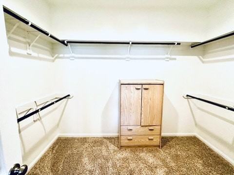 3207 Planters Peak Drive - Photo 6 of 16