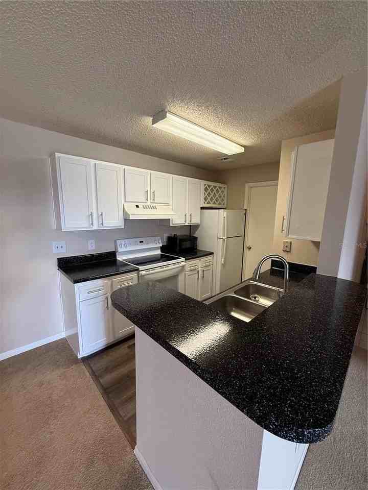 2533 Grassy Point Dr #213 - Photo 6 of 38