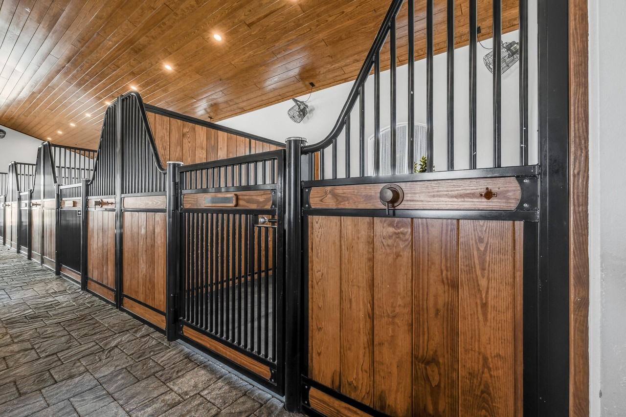 5181 Lasso Way - Photo 3 of 30