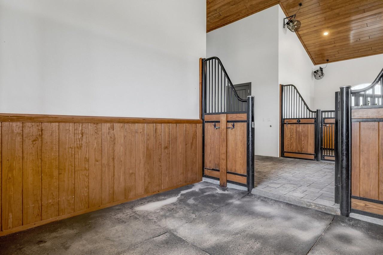 5181 Lasso Way - Photo 4 of 30