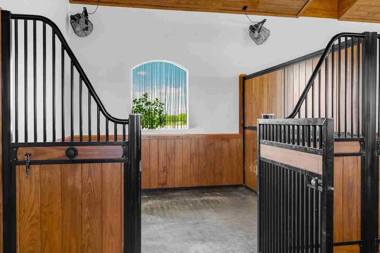 5181 Lasso Way - Photo 5 of 30