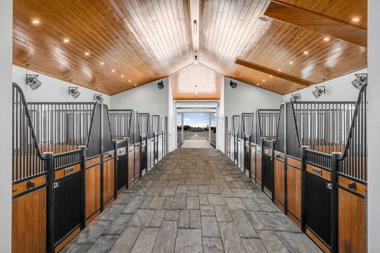 5181 Lasso Way - Photo 6 of 30