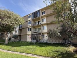 featured image of 925 1st Ave N #207
