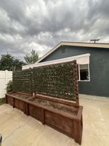 3645 Los Feliz Ct - Photo 1 of 1