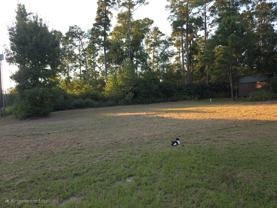 138 Navaho Trail #146 - Photo 1 of 1