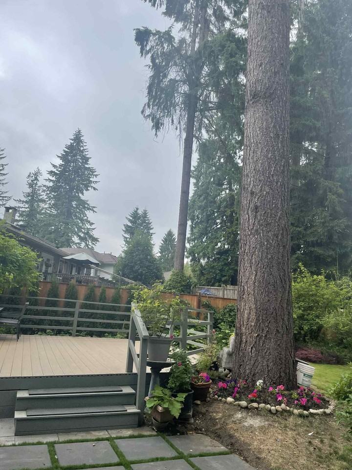 Browning Pl & Mt Seymour Pkwy - Photo 3 of 10