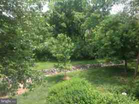 14321 Climbing Rose Way #201 - Photo 1 of 1