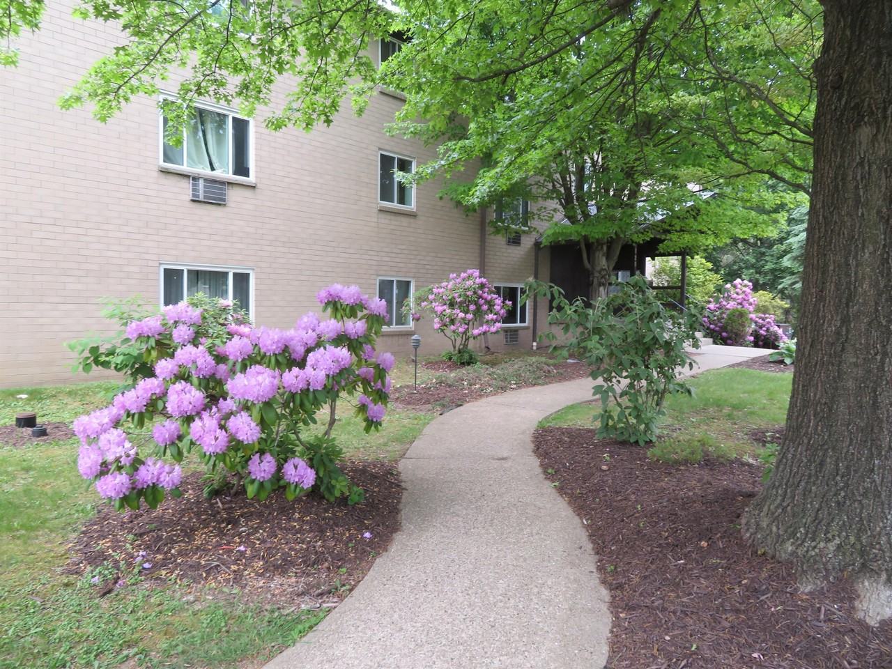 FOXWOOD ROAD -- 160 - Photo 2 of 9