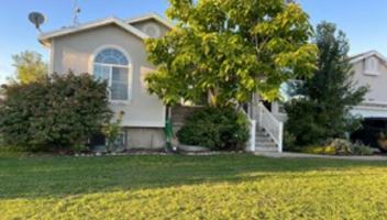 featured image of 1982 W 2025 S