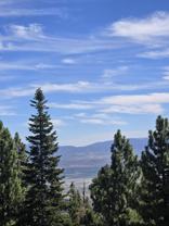 332 Quaking Aspen Ln #A - Photo 1 of 1