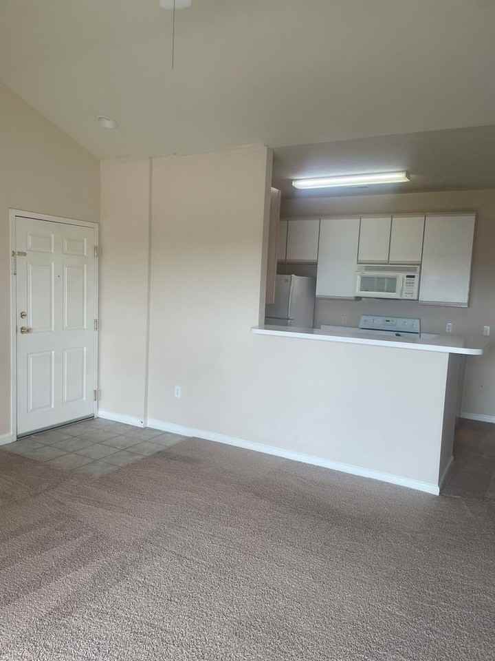 Hillsborough Pointe Apartments - Photo 6 of 12