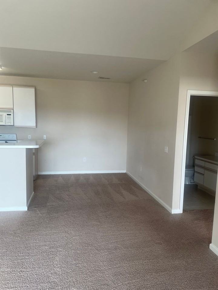 Hillsborough Pointe Apartments - Photo 7 of 12