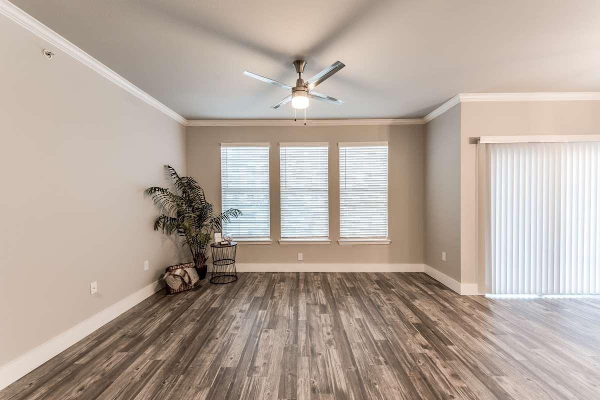 541 Fm 1488 Rd - Photo 6 of 36