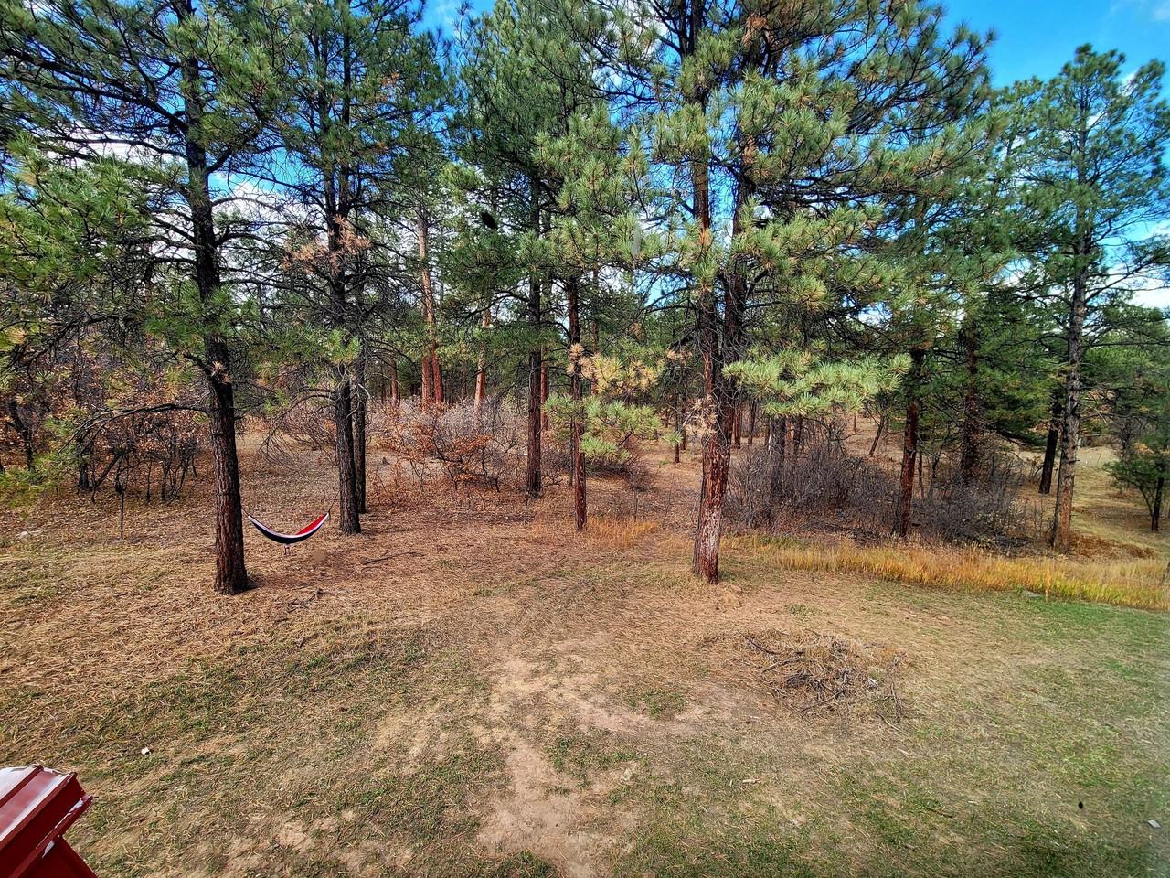 E Cotton Ct #B - Photo 2 of 23