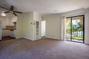 Palizada Villas - Photo 1 of 1