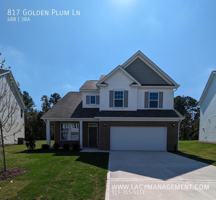 featured image of 817 Golden Plum Lane