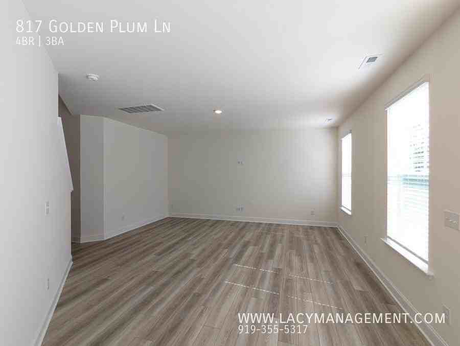 817 Golden Plum Lane - Photo 7 of 21