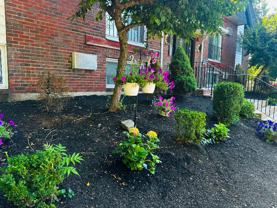 215 Mammoth Rd Road Lowell, Ma #11 - Photo 1 of 1