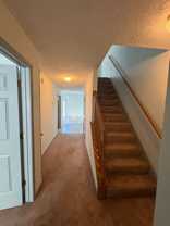 24 Sweet Gum Pl - Photo 1 of 1