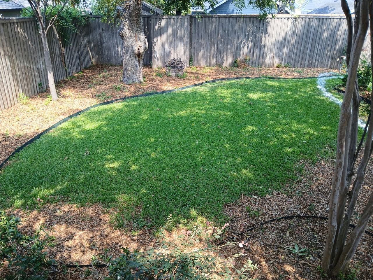 2523 Alco Avenue - Photo 6 of 39