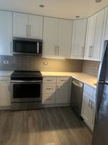 2150 North Lincoln Park West #608 - Photo 1 of 1