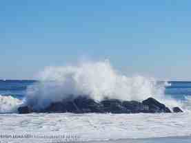 260 Ocean Ave #A18 - Photo 1 of 1