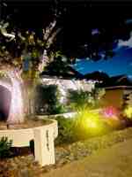 featured image of 29161 Aloma Ave #B