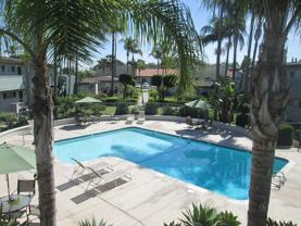 The Palms - Photo 1 of 1