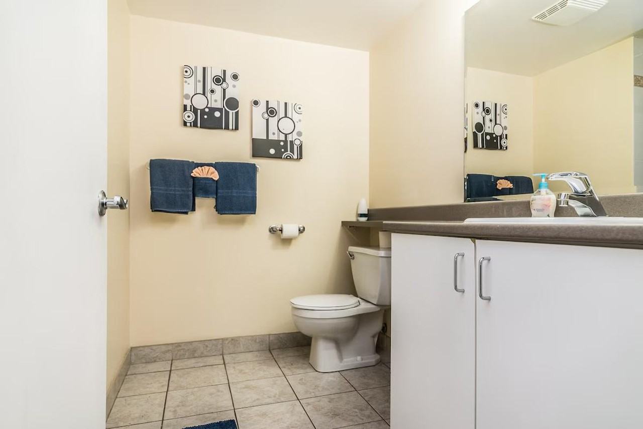 218 Rue Sainte-Catherine E #1287564P - Photo 6 of 11