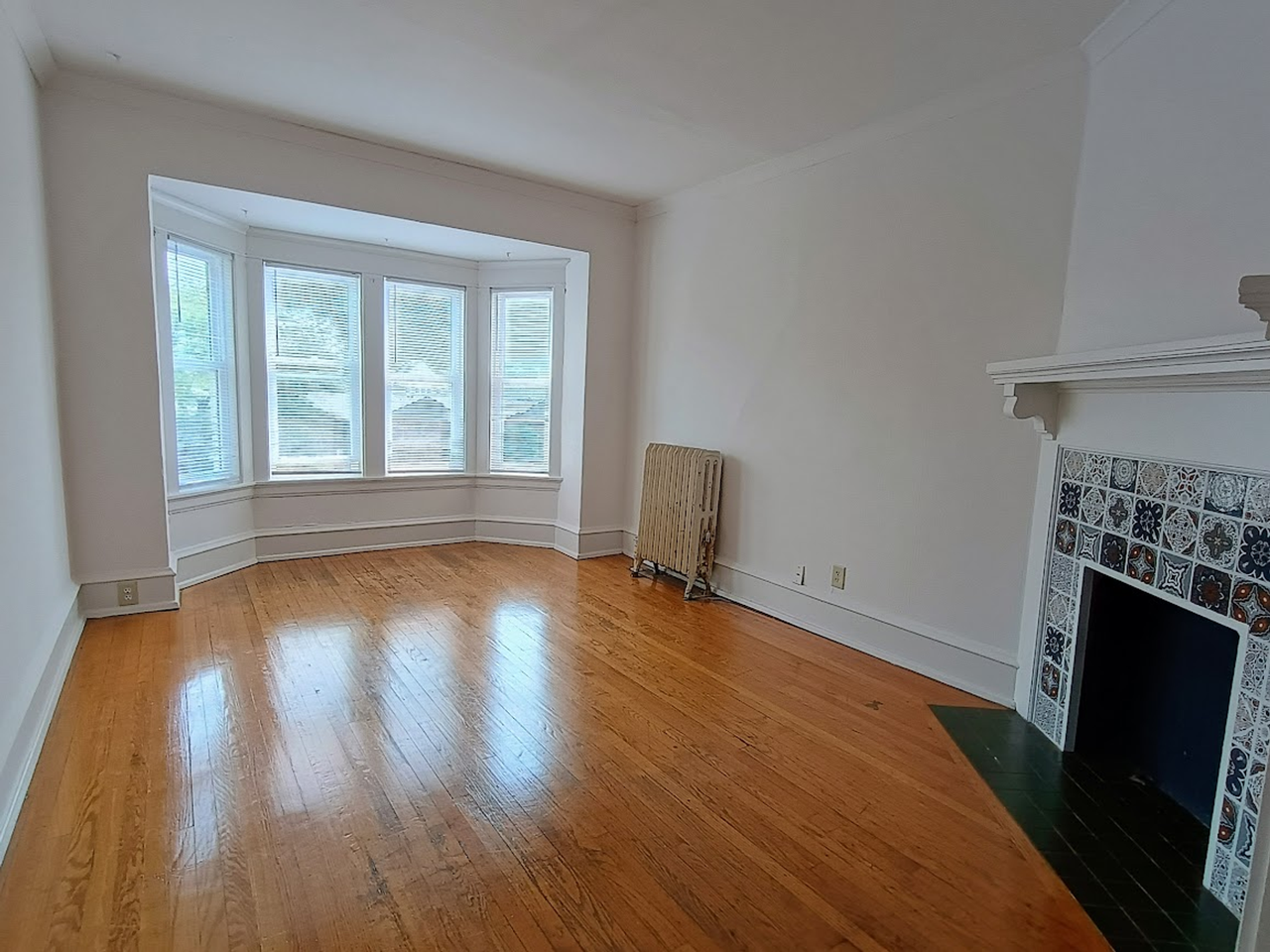 The Shamrock - North - Photo 4 of 18