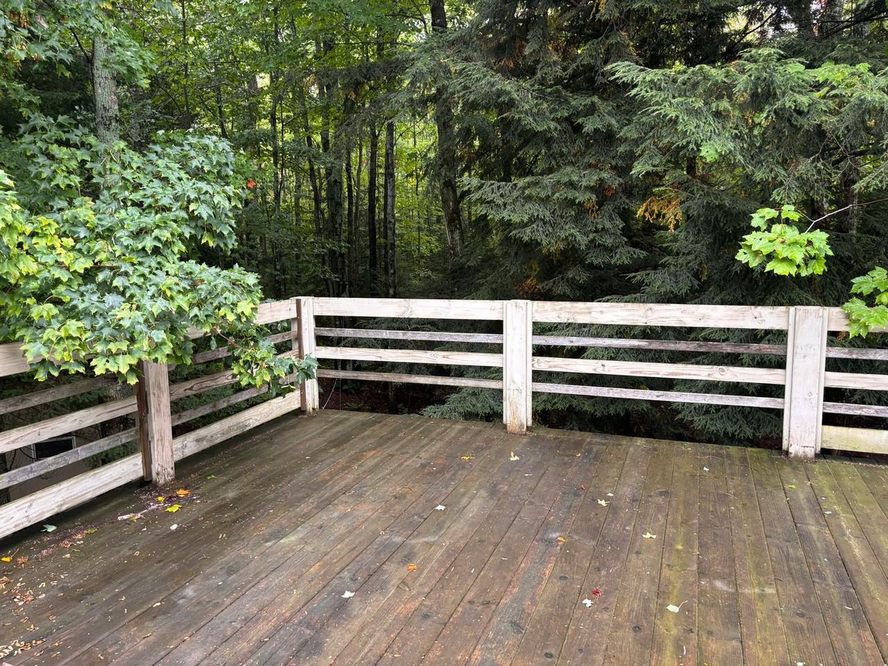 7364 County Road 550 - Photo 5 of 26