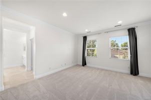 featured image of 61 Shade Tree