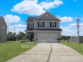 featured image of 209 Firewheel Ct
